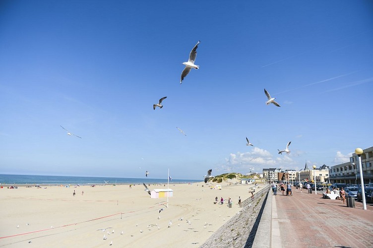 plage Berck-sur-Mer