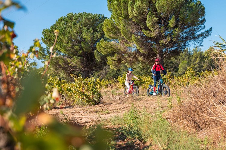 Kulinarische Wander-Fahrrad-Tour im Weinberg Chateauneuf-du-Pape ab Weingut Cellier des Princes