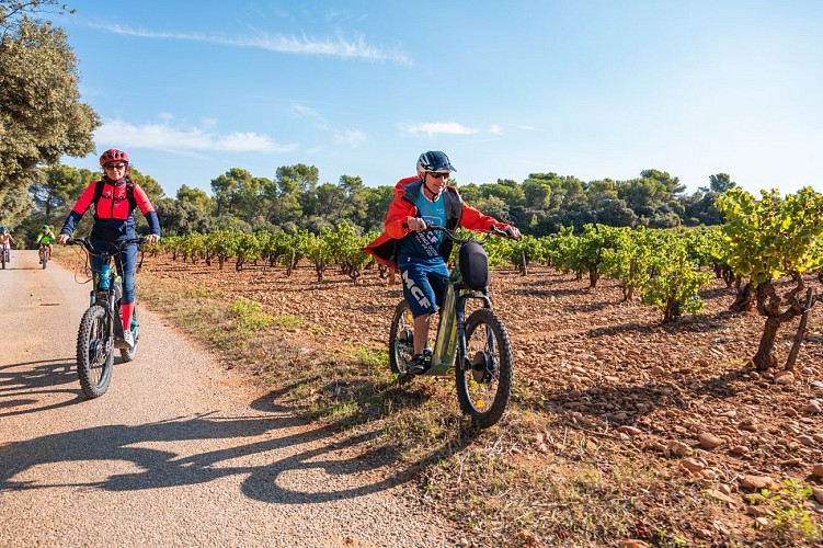 Ruta en bicicleta por el viñedo de Châteauneuf-du-Pape saliendo de Cellier des Princes.