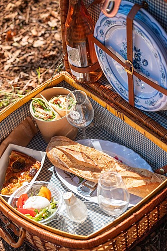Balade dans le vignoble de Châteauneuf-du-Pape
