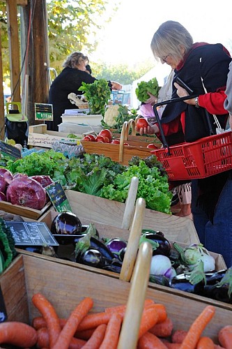 Marché Anne Lanta TiS