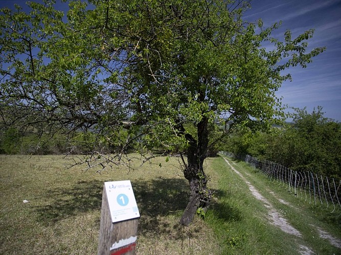 Coteaux St-Pierre © CD27, S. Bachelot