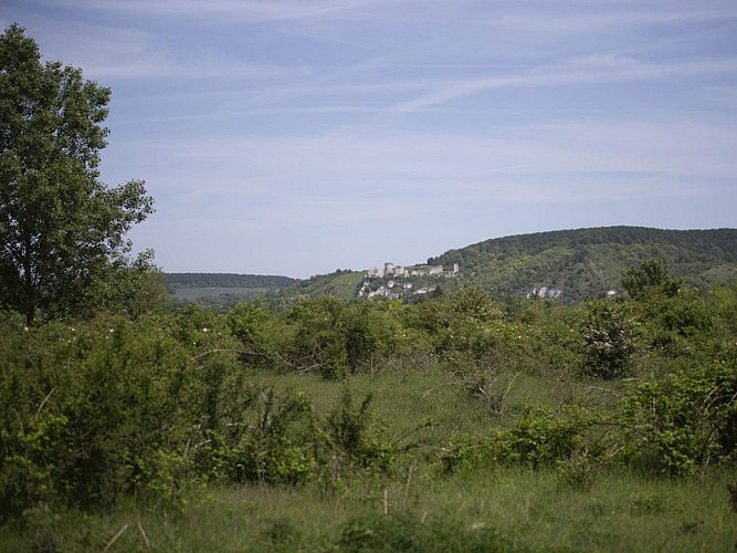 Espace Naturel Sensible : le sentier du Criquet