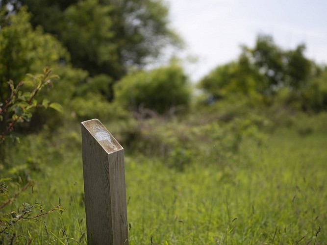Tosny, Les Trois Lacs © CD27, S. Bachelot