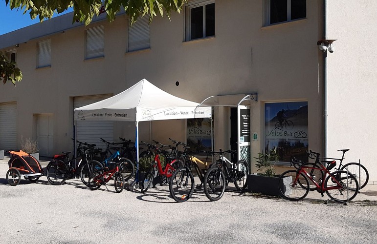 Vélos Buis