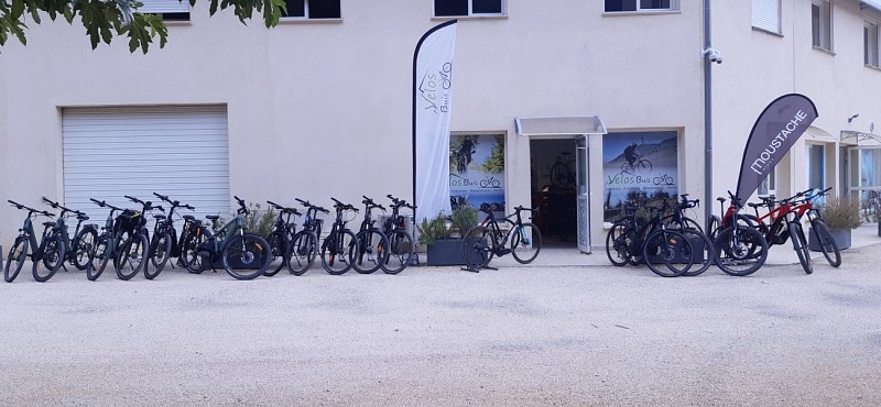 Vélos Buis