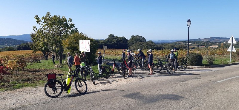 Vélos Buis