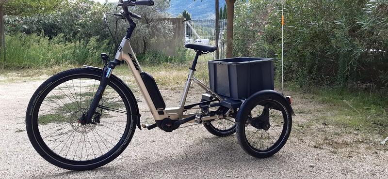 Vélos Buis