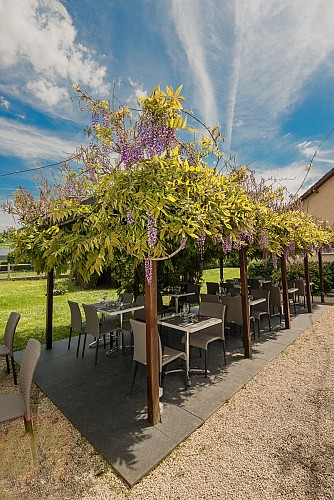 L'Unique glycine terrasse
