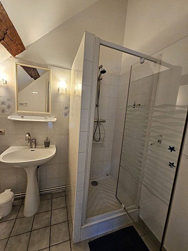 Salle de bain douche - Chambre Rose trémière - La Lionnière
