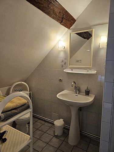 Salle de bain - Chambre Rose trémière - La Lionnière