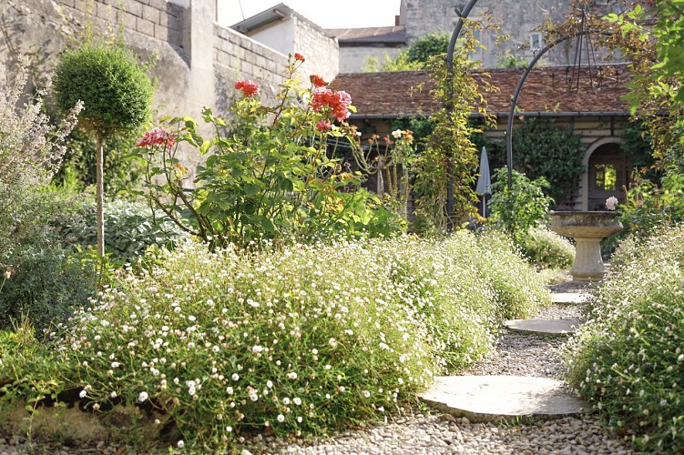 bj-mcintosh_230823_004