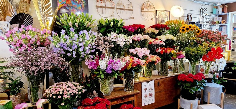 443712266_25421548364159481_871304297107204963_n