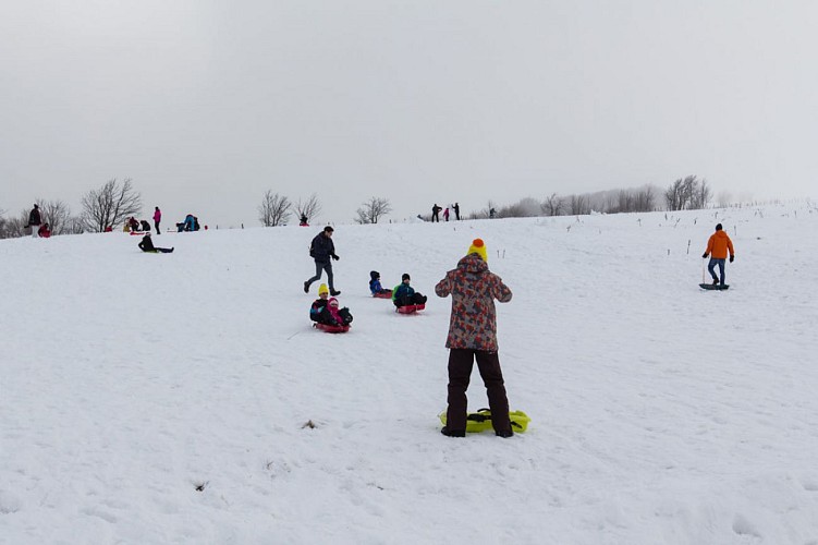 Luge au Ballon d'Alsace