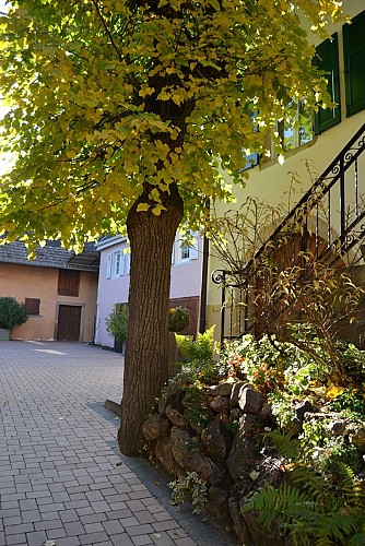 Meublé Le Cosy - Isabelle et Didier KOHLER