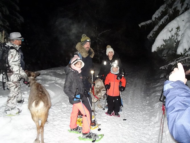 Snowshoe's strolls and hikes - Pass Montagne