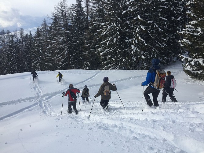 Pass montagne balades et randonnées en raquettes