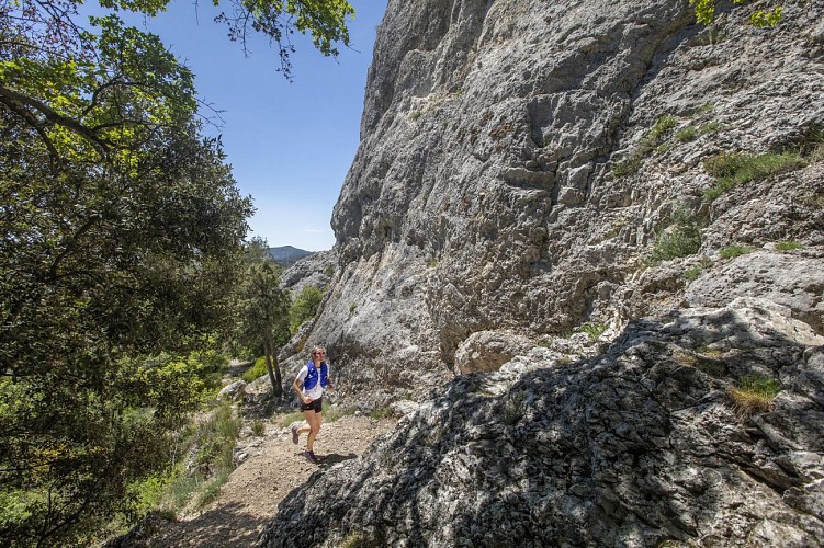 Trail Aufenthalt Provence-Alpes