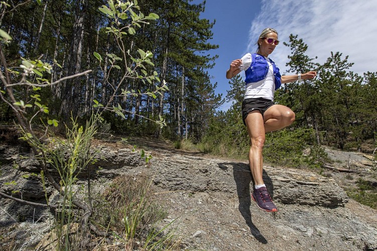 Trail Aufenthalt Provence-Alpes