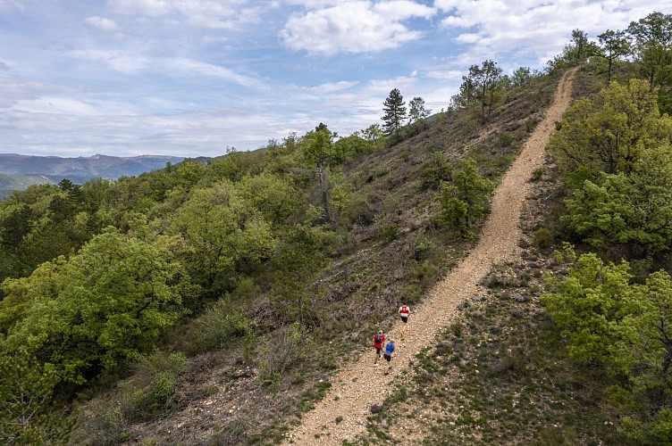 Trail Aufenthalt Provence-Alpes