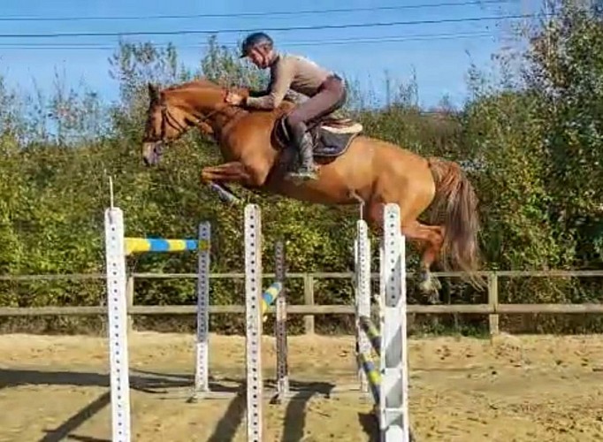 Les Ecuries Desjeux_1