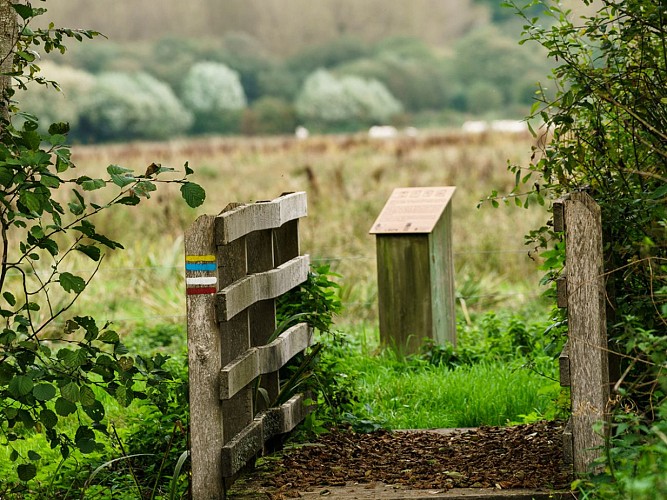 Loic Pilon sentier anguille 1