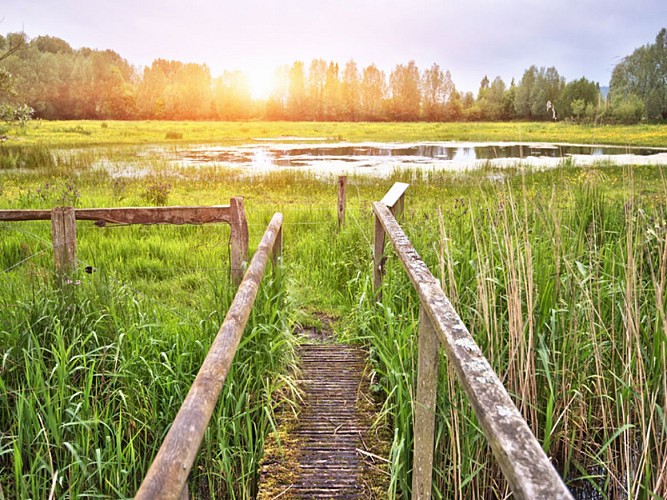 mare st sulpice_Cr+®dits S. Bondari