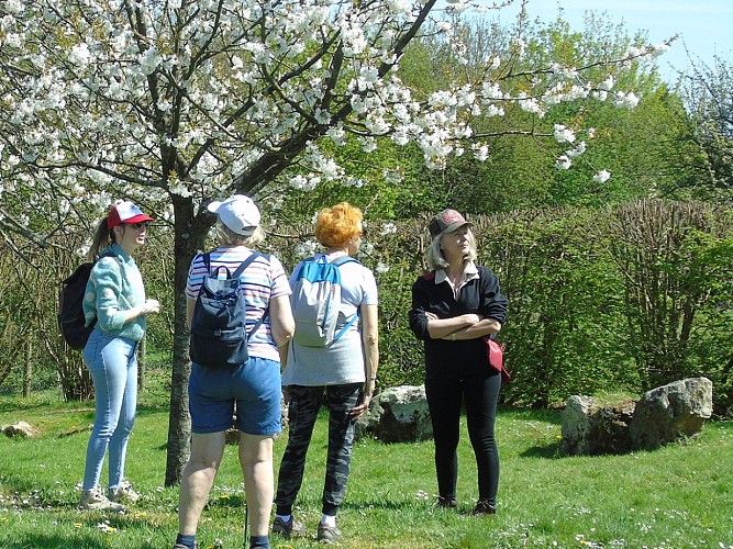 l'anguille le 8 avril (2)