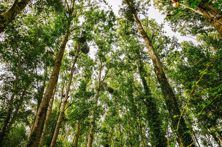 Reportage Photos Honfleur août 2025 ©Camille Plichard_OT Honfleur (262)
