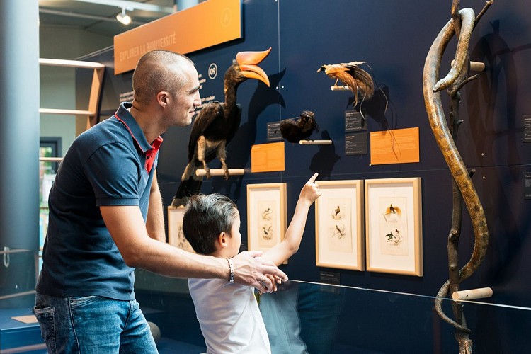 Muséum régional des Sciences Naturelles