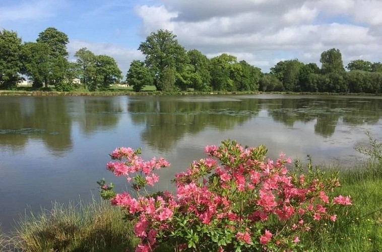 G44445-le-grand-gite-du-lac-le-teilleul-7