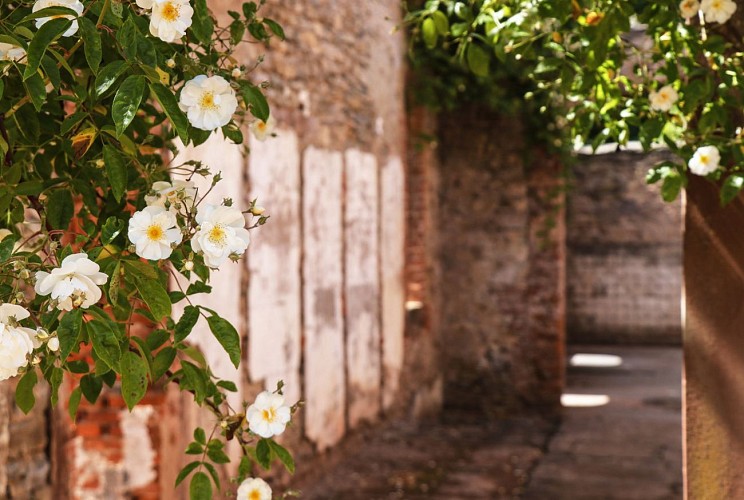 Jardin des Faïenciers