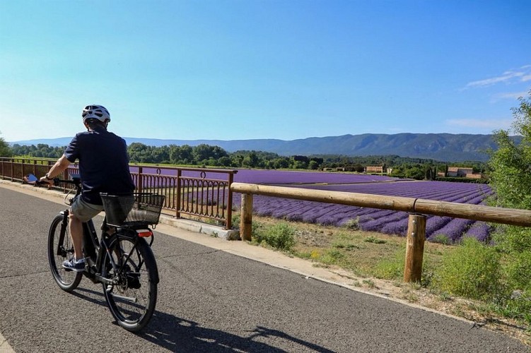 Véloroute du Calavon