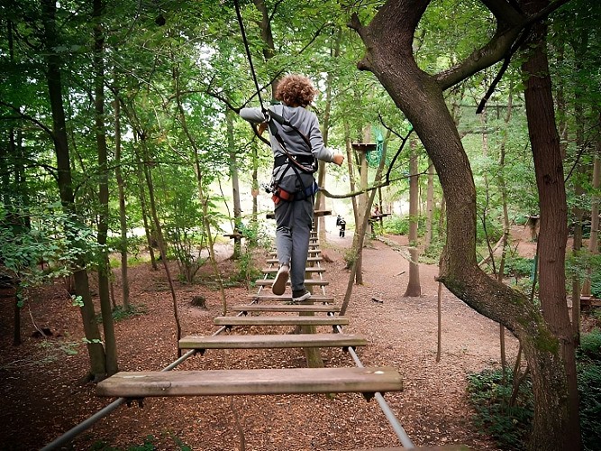 Accrobranche-7cc27db4