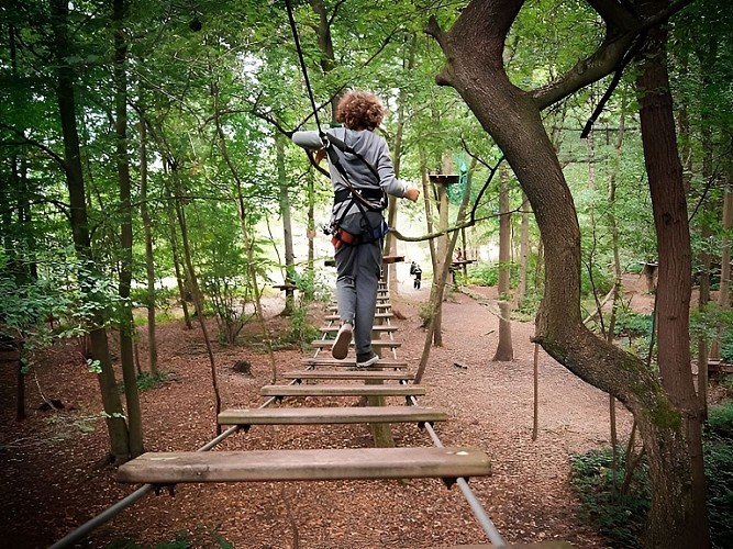 Accrobranche moyenne 700x525