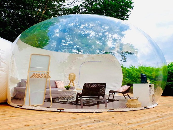 bulle 1 salon etape en foret 2 (TIS)