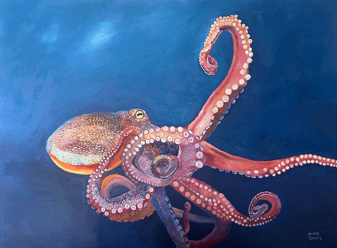 Le 20 Bis - Galerie d'art