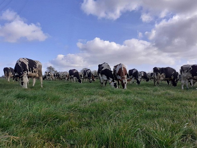 Visite de la Laiterie de Flavie
