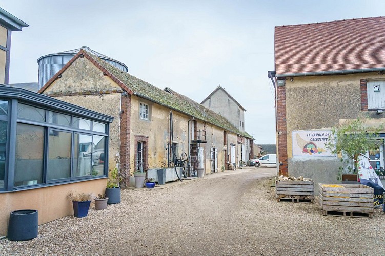 Le jardin des Célestins - Broué (13)