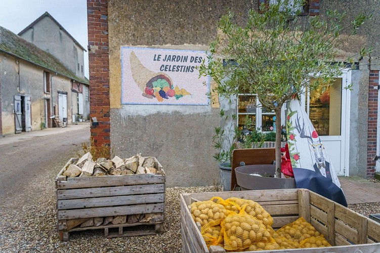 Le jardin des Célestins - Broué (12)