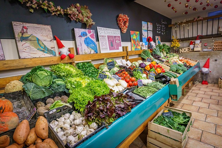 Le jardin des Célestins - Broué (8)