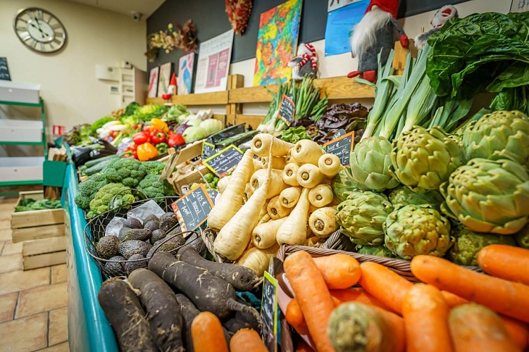 Le jardin des Célestins - Broué (3)