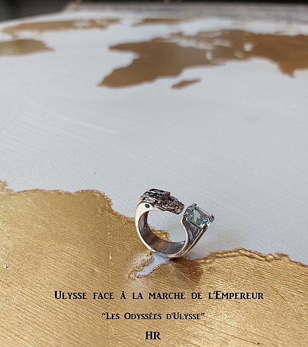 17-Ulysse face à la marche de l'Empereur. Les Odyssées d'Ulysse en Terre Adélie