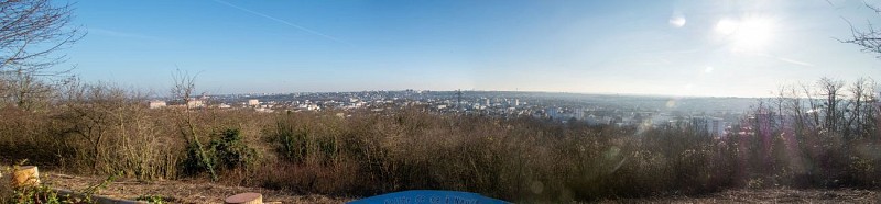 Panorama
