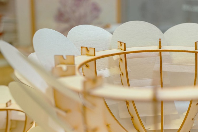 Les vedettes - Maison Madame Editions