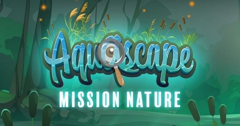 Aquascape
