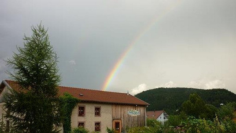 WOHLFÜHLBAUERNHOF