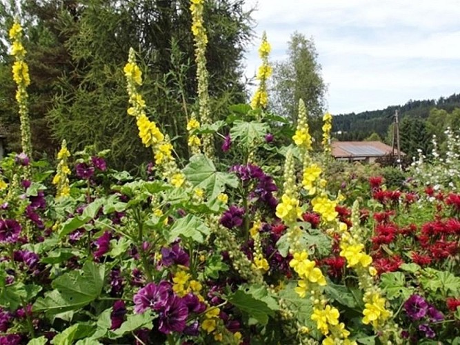 WOHLFÜHLBAUERNHOF