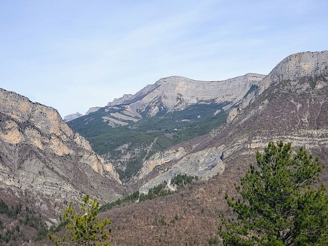Image du poi