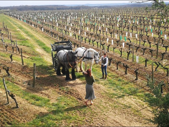 2025 Attelage &amp; Nature VENDOIRE (14)